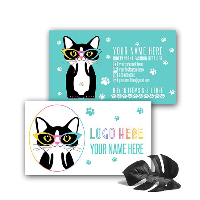 Playful Kitten with Bold Accent Colors