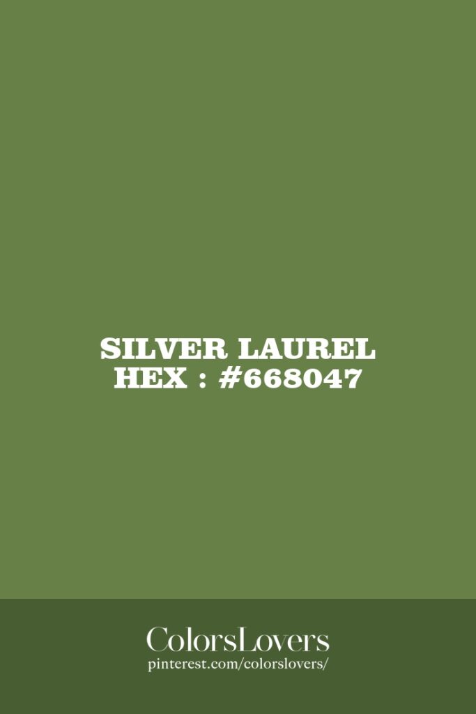 Silver Laurel