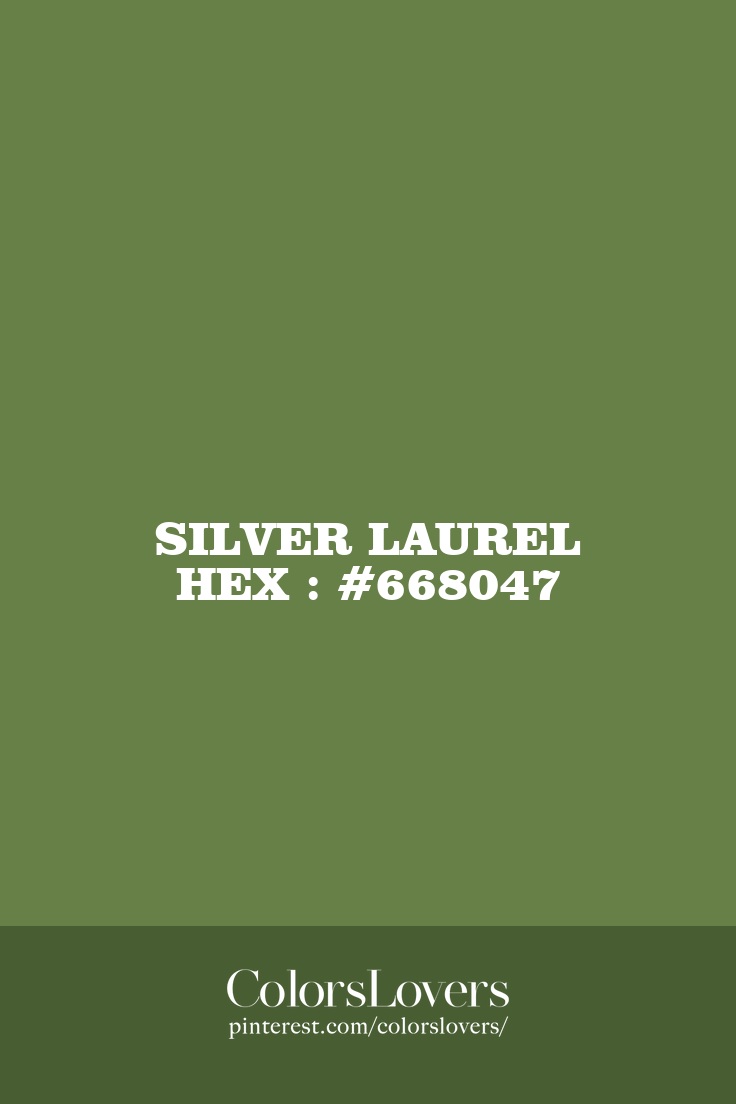 Silver Laurel