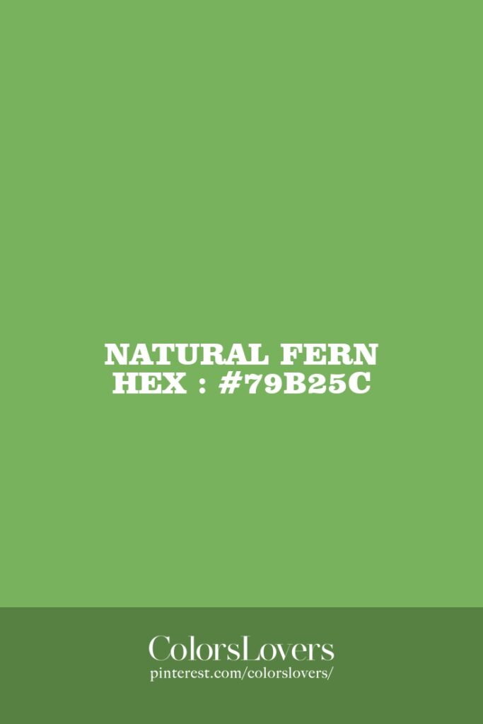 Natural Fern