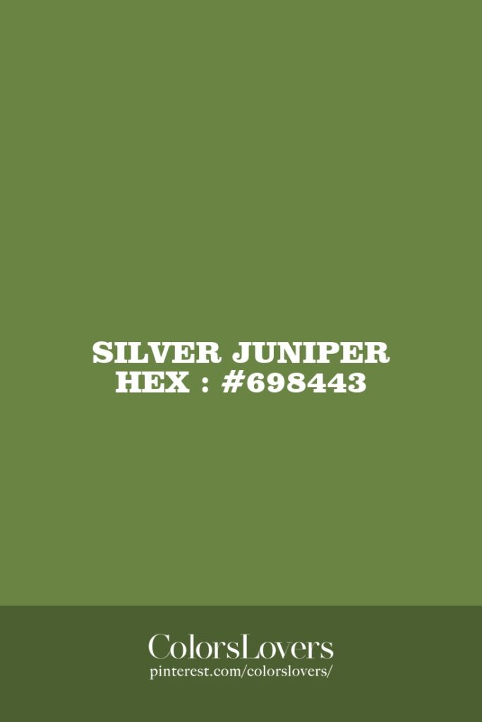Silver Juniper