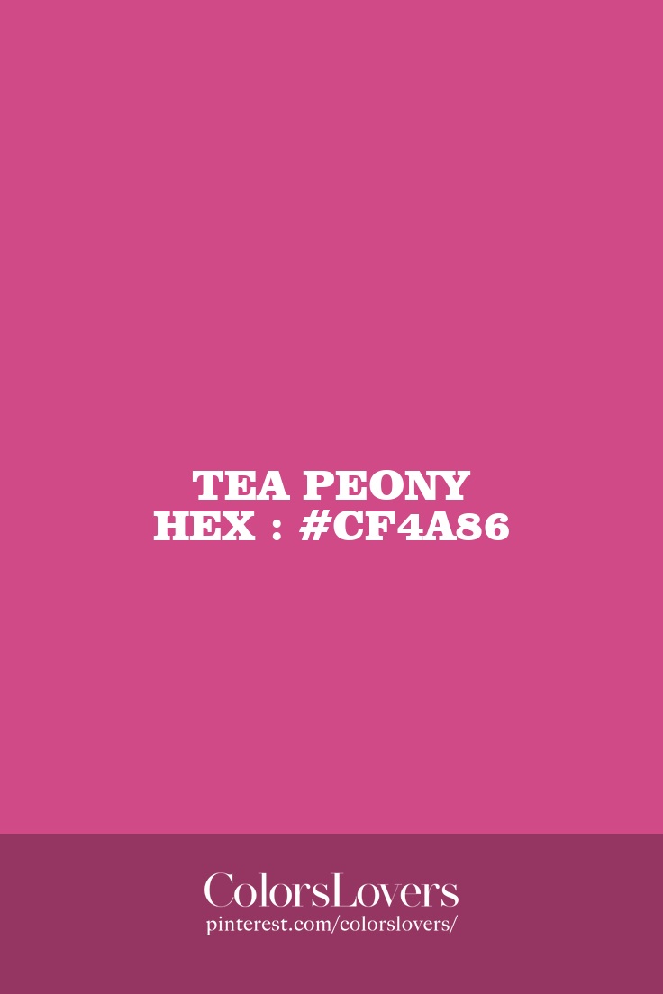 Tea Peony