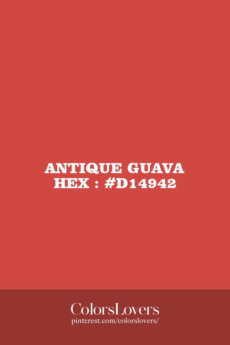 Antique Guava