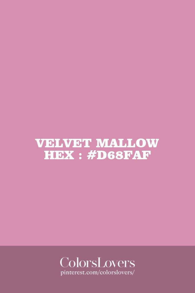 Velvet Mallow
