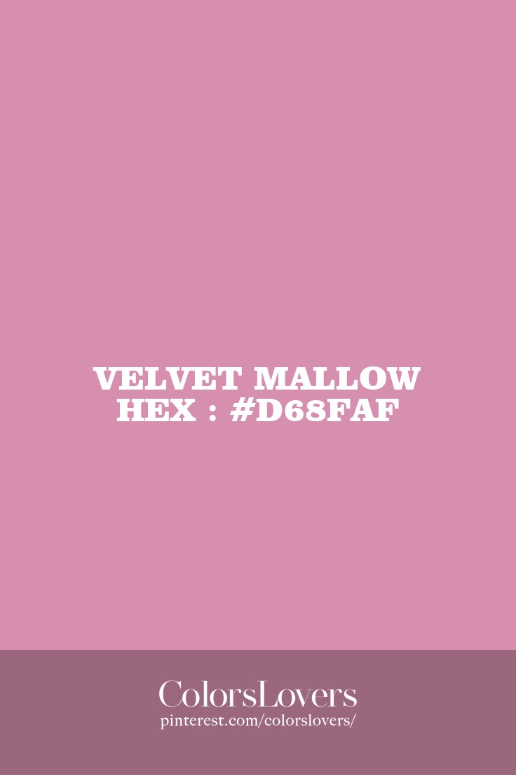 Velvet Mallow