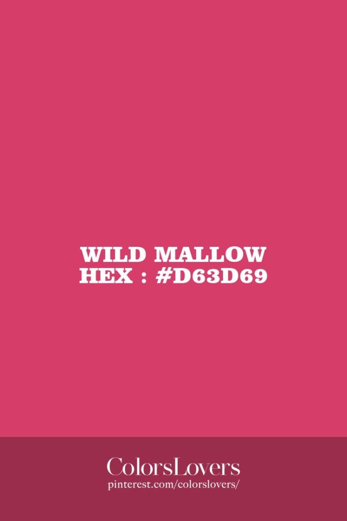 Wild Mallow