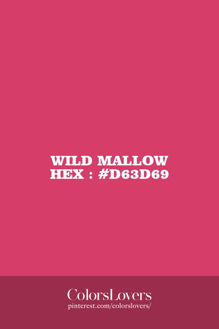 Wild Mallow