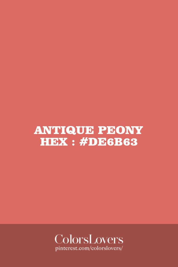 Antique Peony