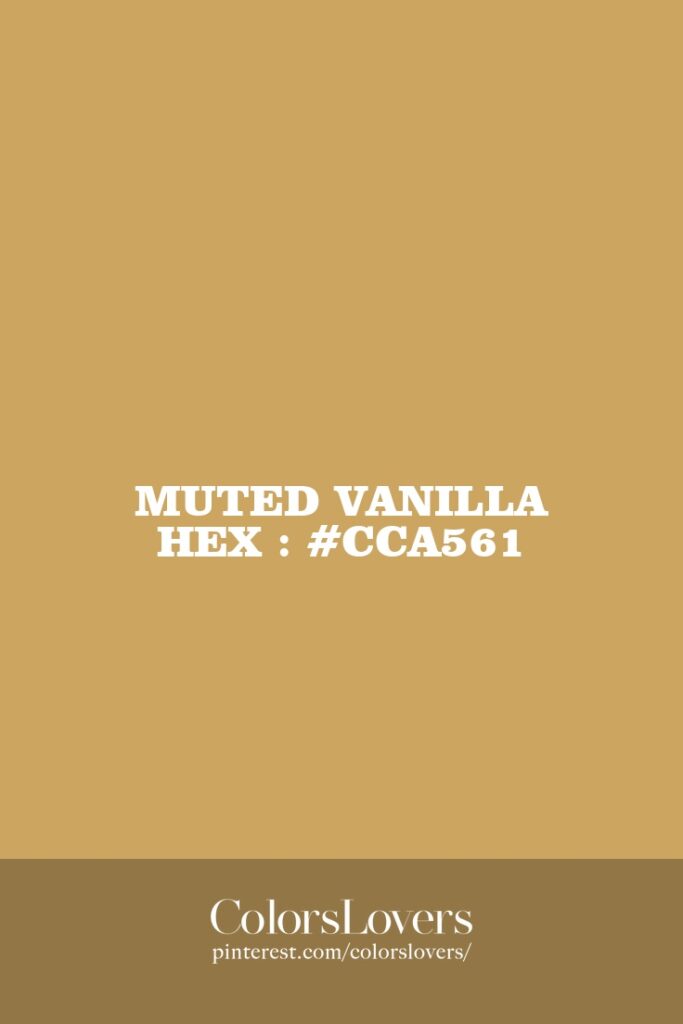 Muted Vanilla