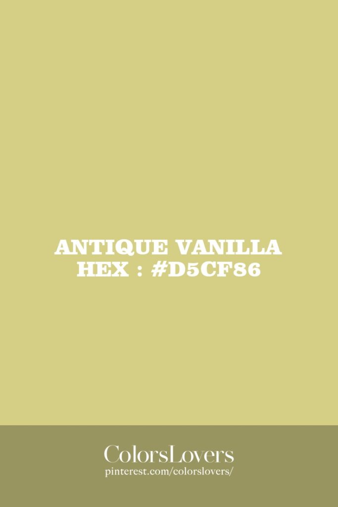Antique Vanilla