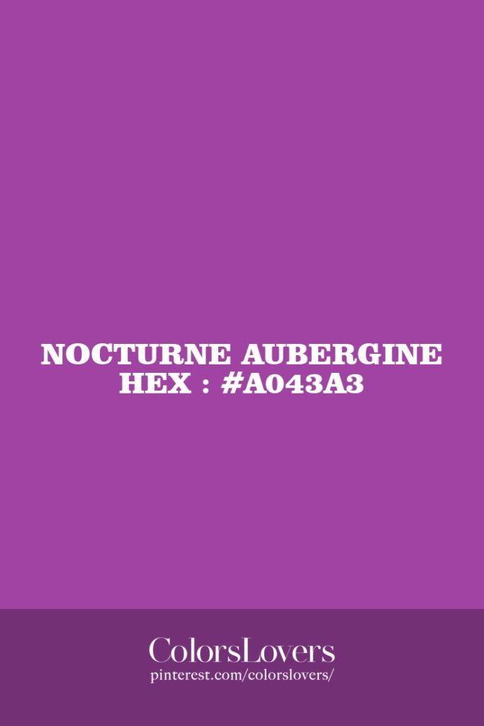 Nocturne Aubergine