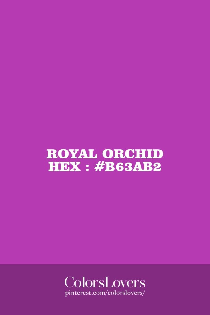 Royal Orchid