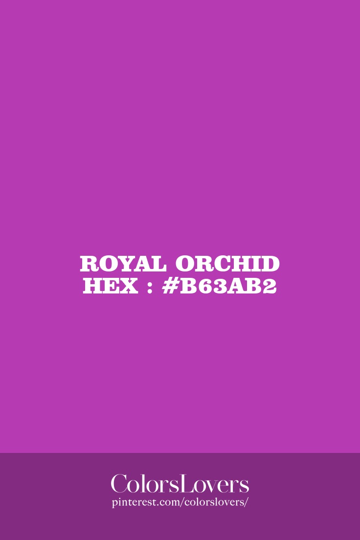 Royal Orchid