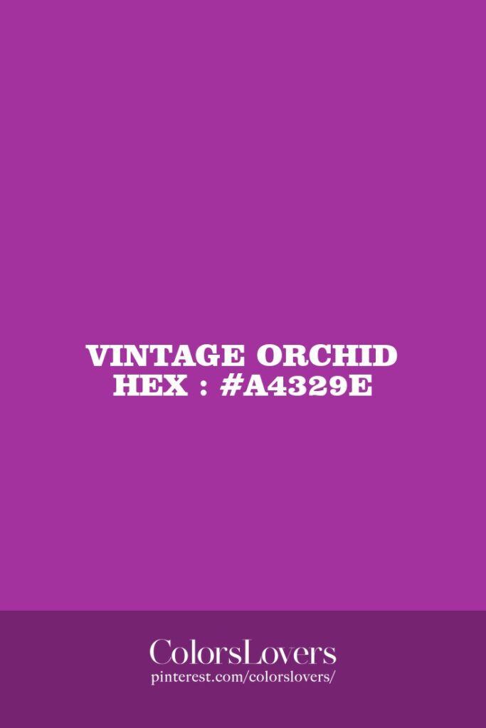 Vintage Orchid