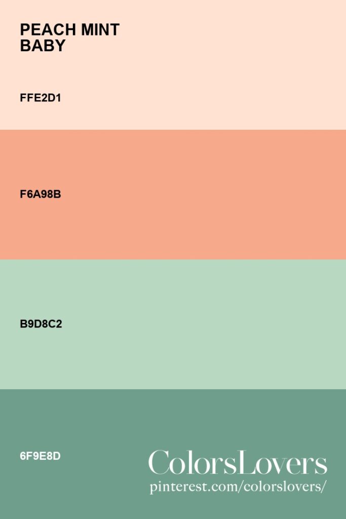 Palette 022 Peach Mint Baby