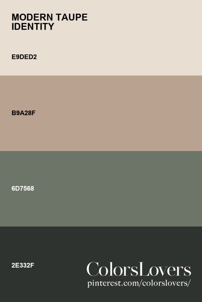 Palette 032 Modern Taupe Identity