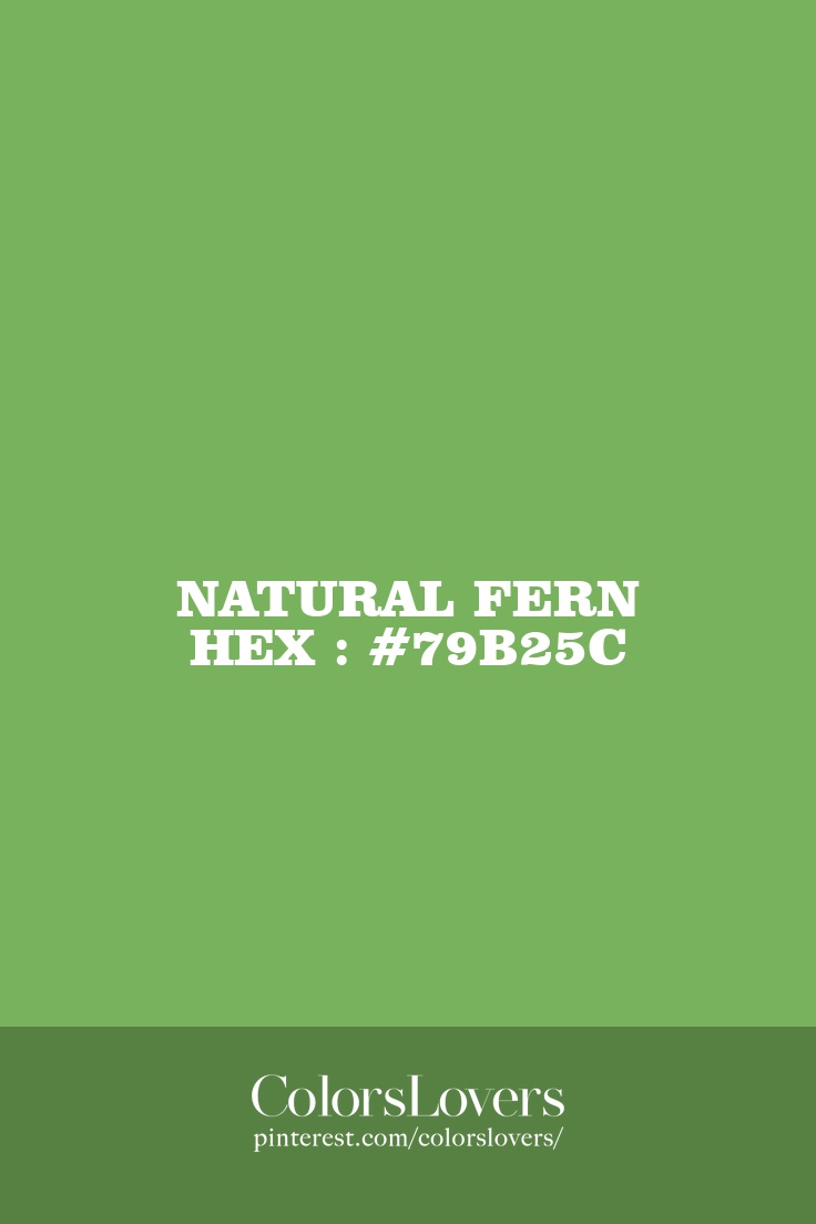 Natural Fern