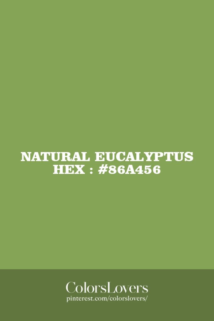 Natural Eucalyptus