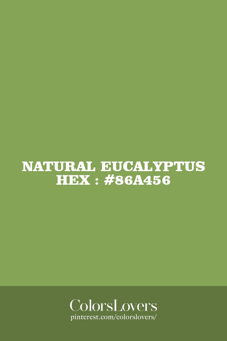 Natural Eucalyptus