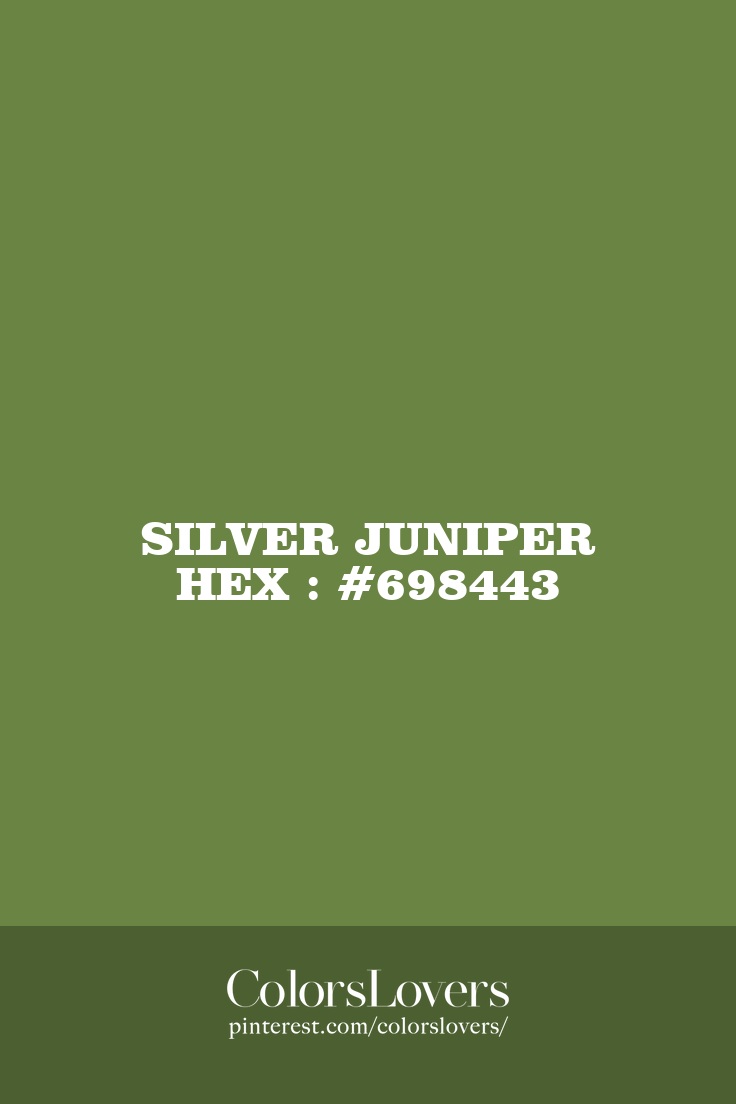 Silver Juniper