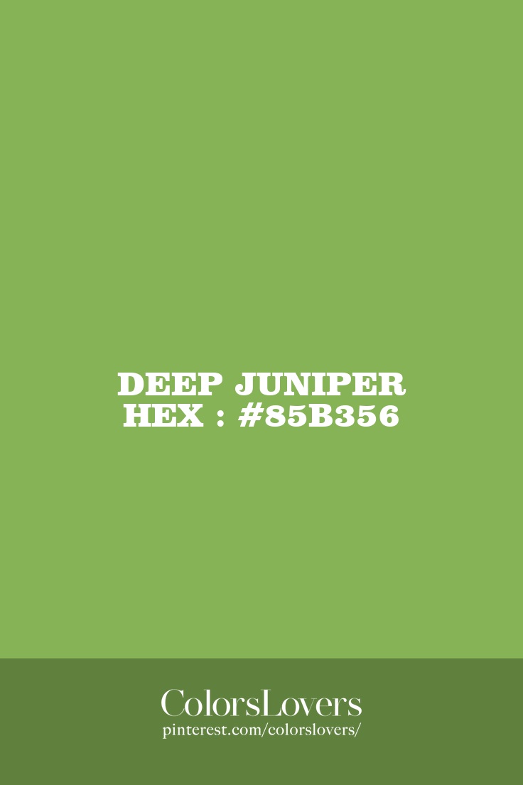 Deep Juniper